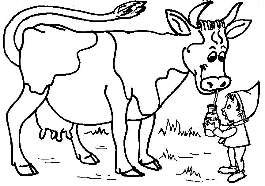 planse desene de colorat vaca vitel taur bou